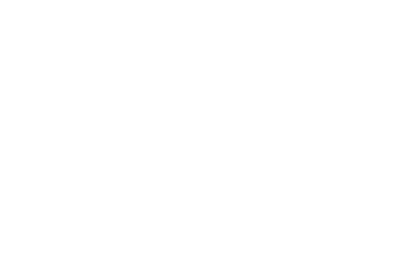 PPS International Limited